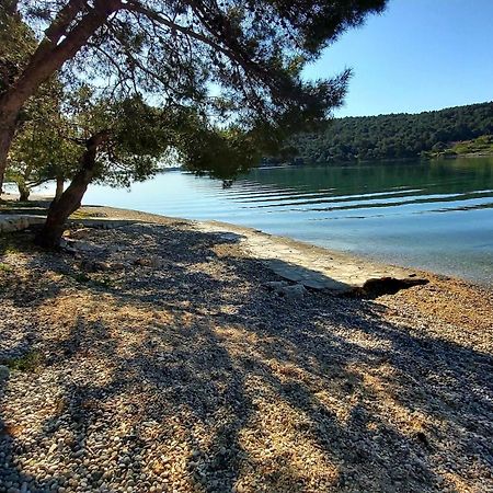 Zara Daire Medulin Dış mekan fotoğraf