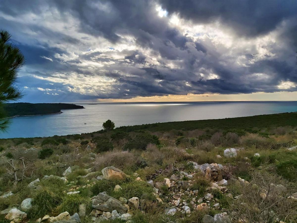 Zara Daire Medulin Dış mekan fotoğraf