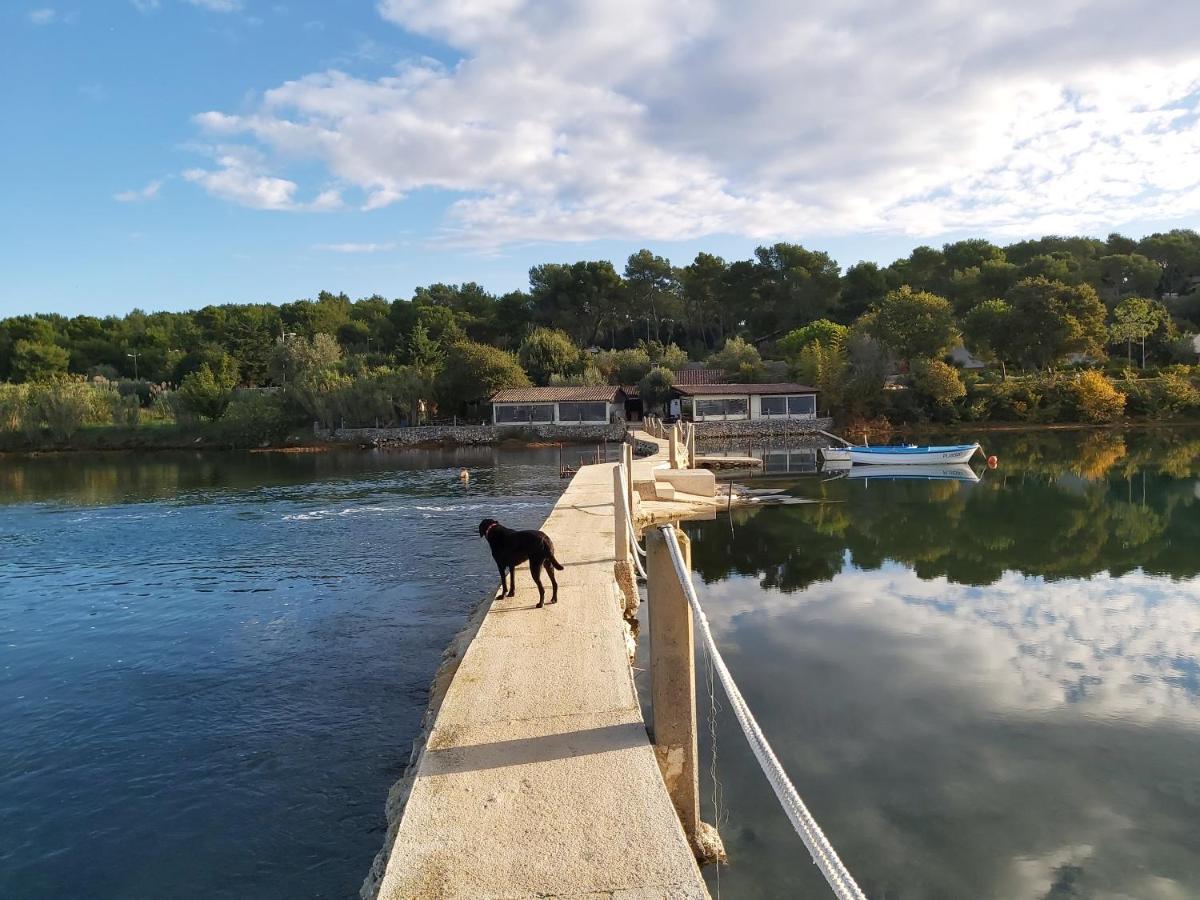 Zara Daire Medulin Dış mekan fotoğraf