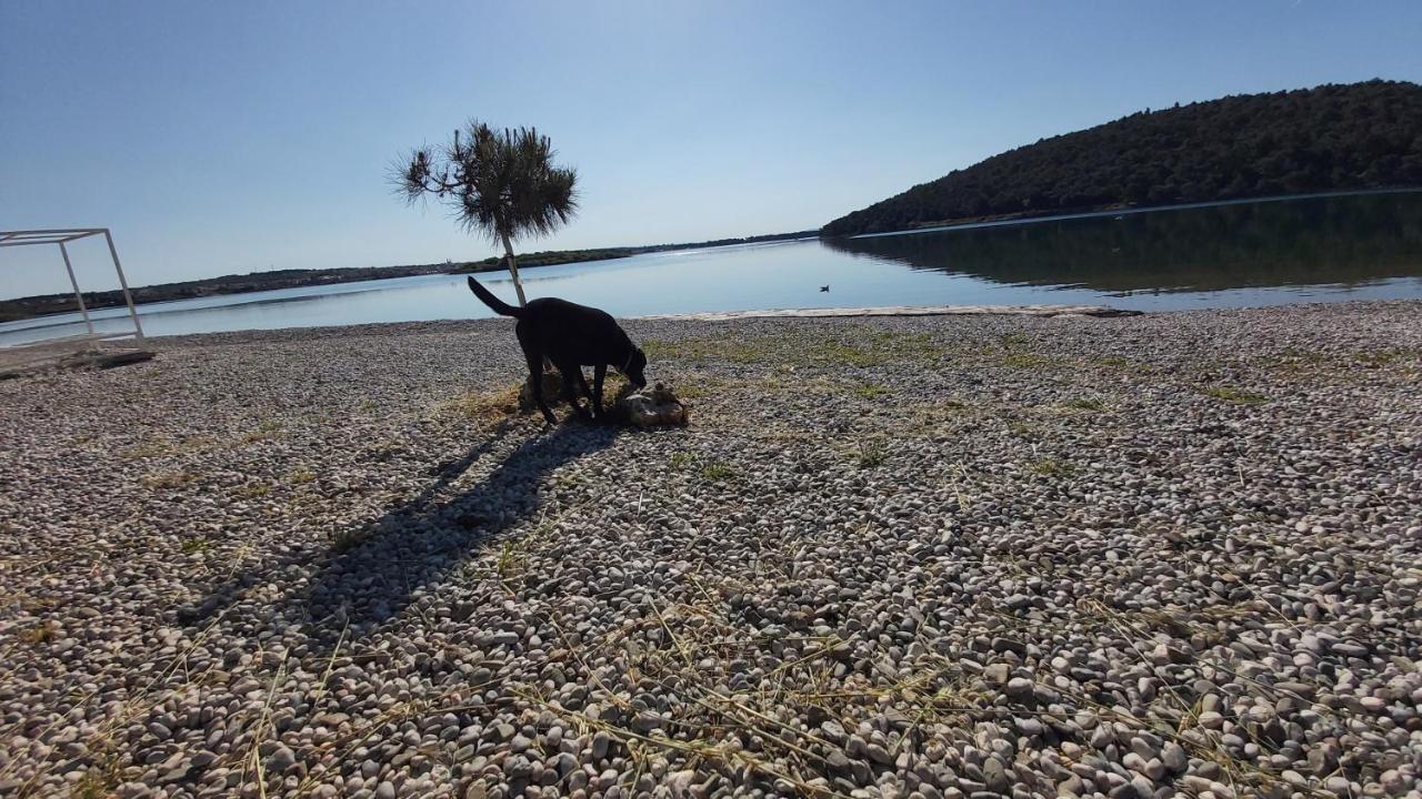 Zara Daire Medulin Dış mekan fotoğraf