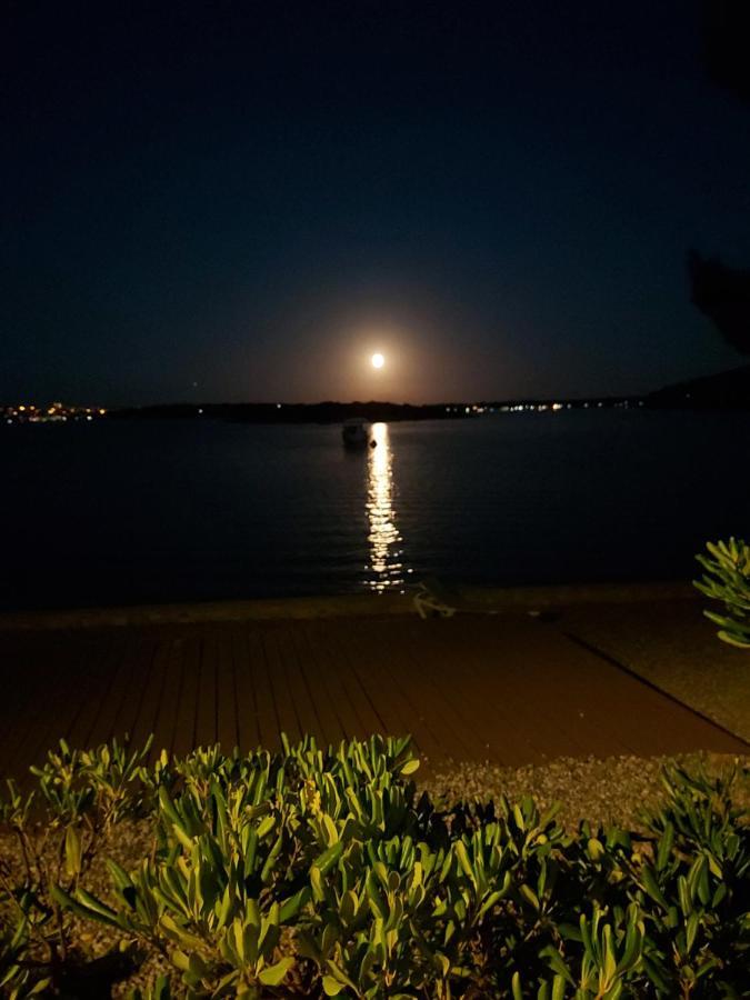 Zara Daire Medulin Dış mekan fotoğraf