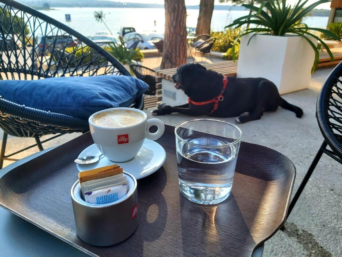 Zara Daire Medulin Dış mekan fotoğraf