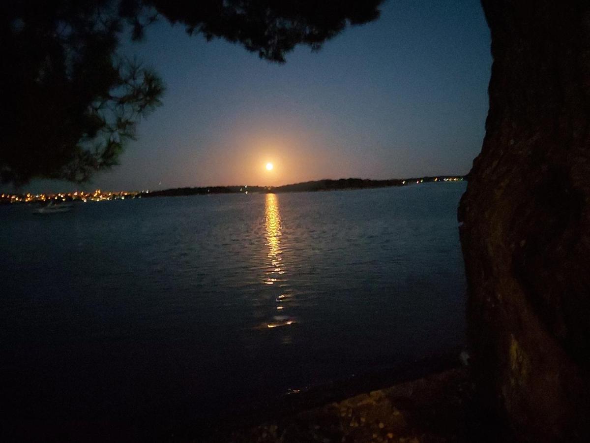 Zara Daire Medulin Dış mekan fotoğraf