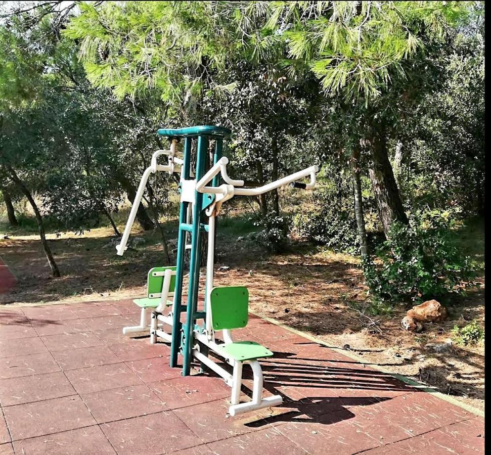 Zara Daire Medulin Dış mekan fotoğraf